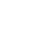 DriveNC Logo. Stylized speedometer.